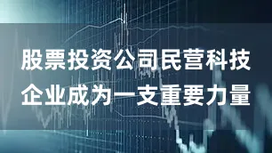 股票投资公司民营科技企业成为一支重要力量