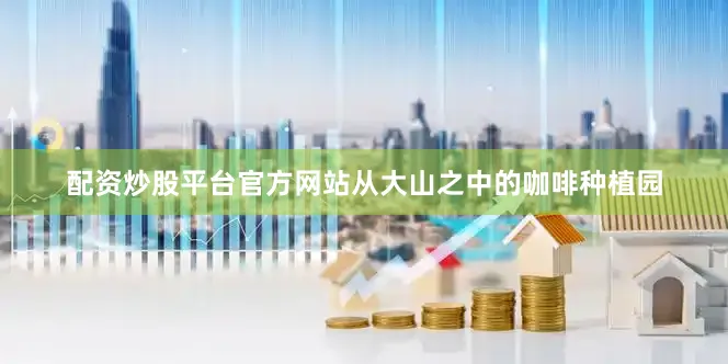 配资炒股平台官方网站从大山之中的咖啡种植园