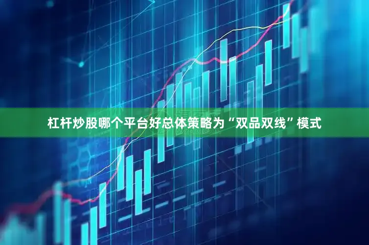 杠杆炒股哪个平台好总体策略为“双品双线”模式