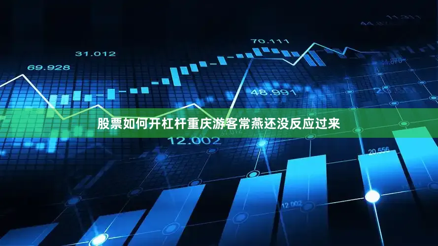 股票如何开杠杆重庆游客常燕还没反应过来